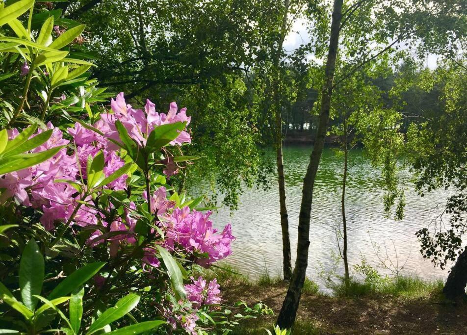 Forestry Cottage. Hot Tub, Open Fire, Dog Friendly Gaywood ภายนอก รูปภาพ